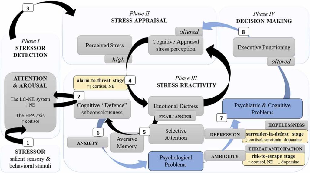 Resilience And Coping Strategies For Stress-Induced Weight Gain