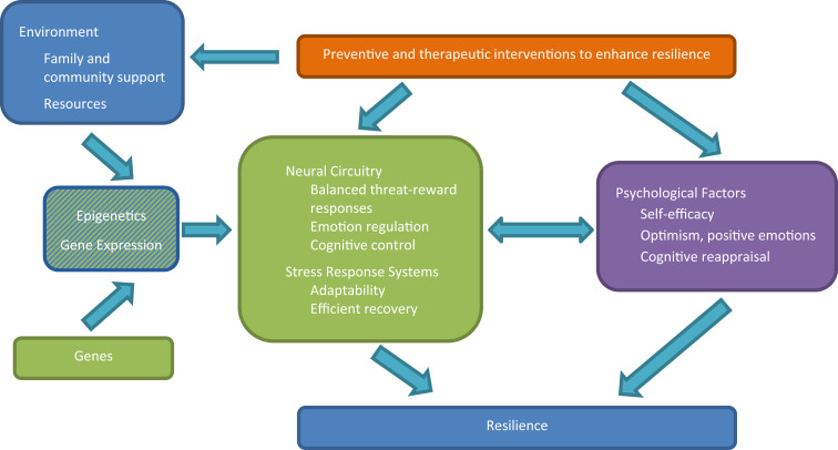 The Science Of Resilience And Its Role In Weight Management